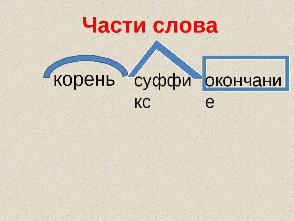 Центральная часть слова. Части слова. Части слова картинки. Части слова презентация. Рисунок живые части слова.