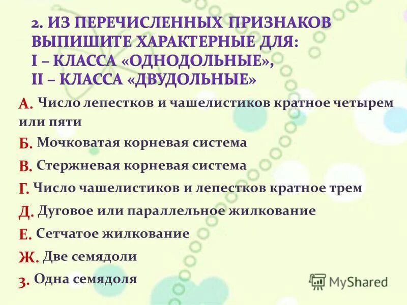 Количество частей цветка кратно четырем или пяти