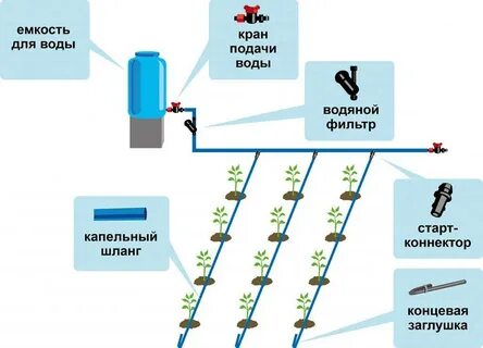 Как работает капельный полив
