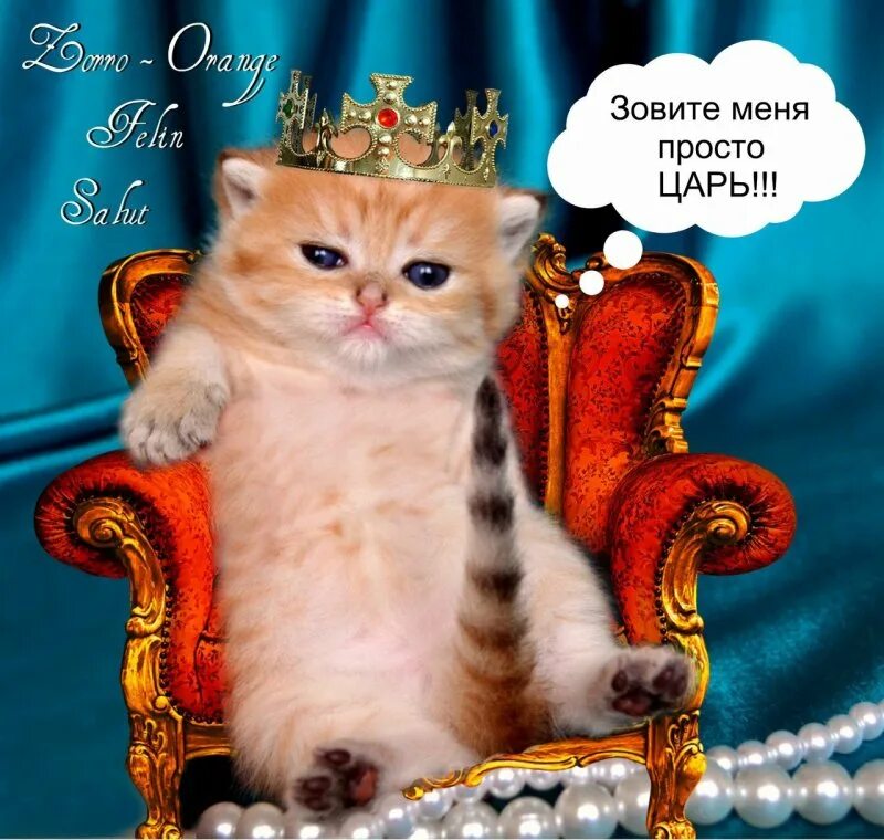 Я человек простой прикол. Шон бин боромир мем. Отдел продаж смешные картинки. Приставучих. Цитаты ёжика из смешариков.