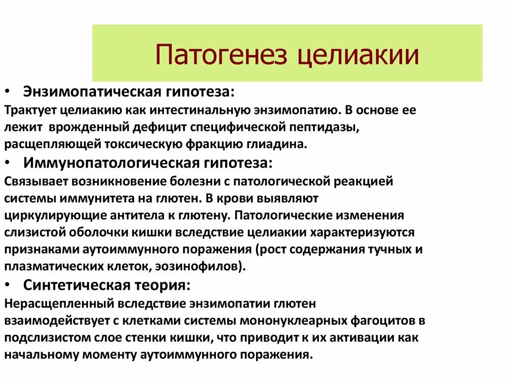 Глютеновая болезнь патогенез. Целиакия патогенез кратко. Целиакия этиология патогенез. Этиология и патогенез целиакии. Целиакия это простыми словами