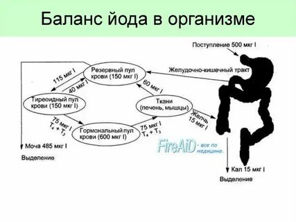 Йод обмен