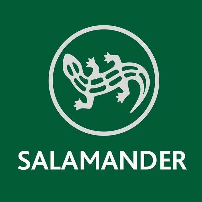 Фирма с логотипом саламандры. Salamander лого. Salamander окна логотип. Саламандер магазин. Лавка саламандра.
