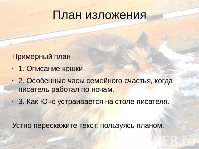 Изложение по русскому языку ю ю. План изложения. Изложение ю-ю. План описания кошки. Изложение описание план.