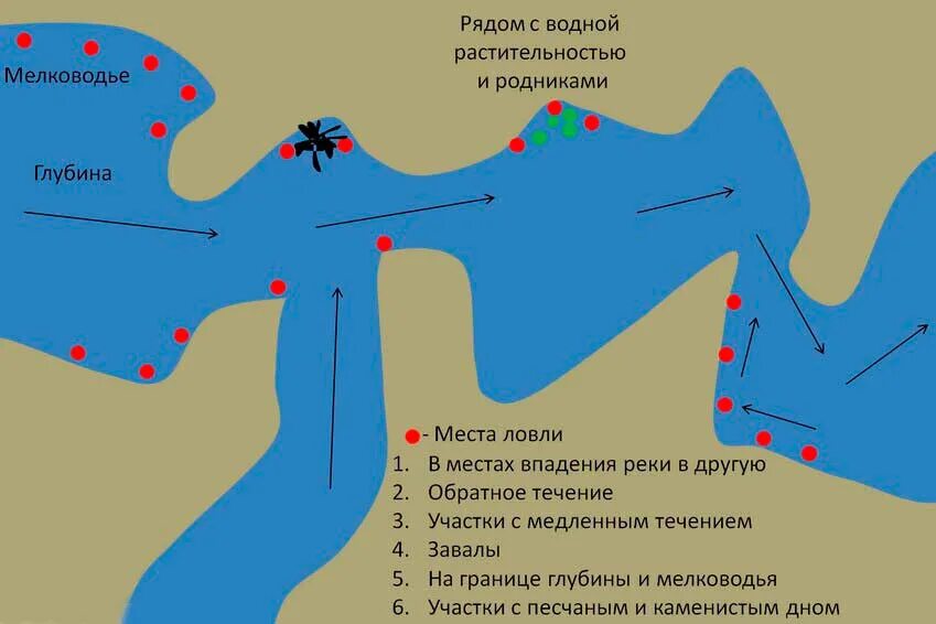 Места где ловить рыбу. Выбор мечта для рыбалки. Места стоянки рыбы на реке. Перспективные места для рыбалки на реке. Перспективные места ловли рыбы на реке.