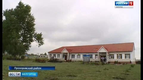 Погода береговое прохоровский