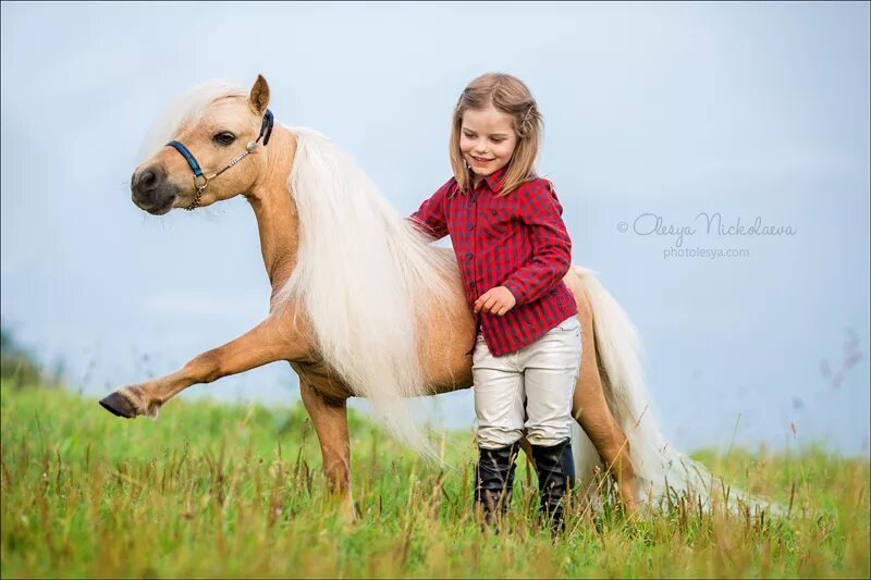 Покажи человек лошадь. Человек на лошади. Американская миниатюрная лошадь с человеком. Фотосессия с мини лошадкой. Лошадь и человек фото.