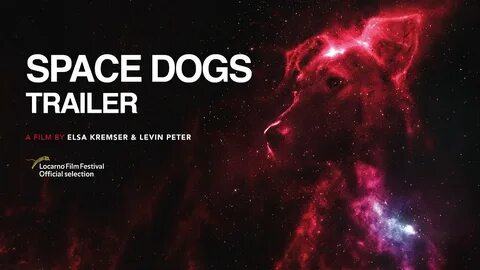 Space dogs