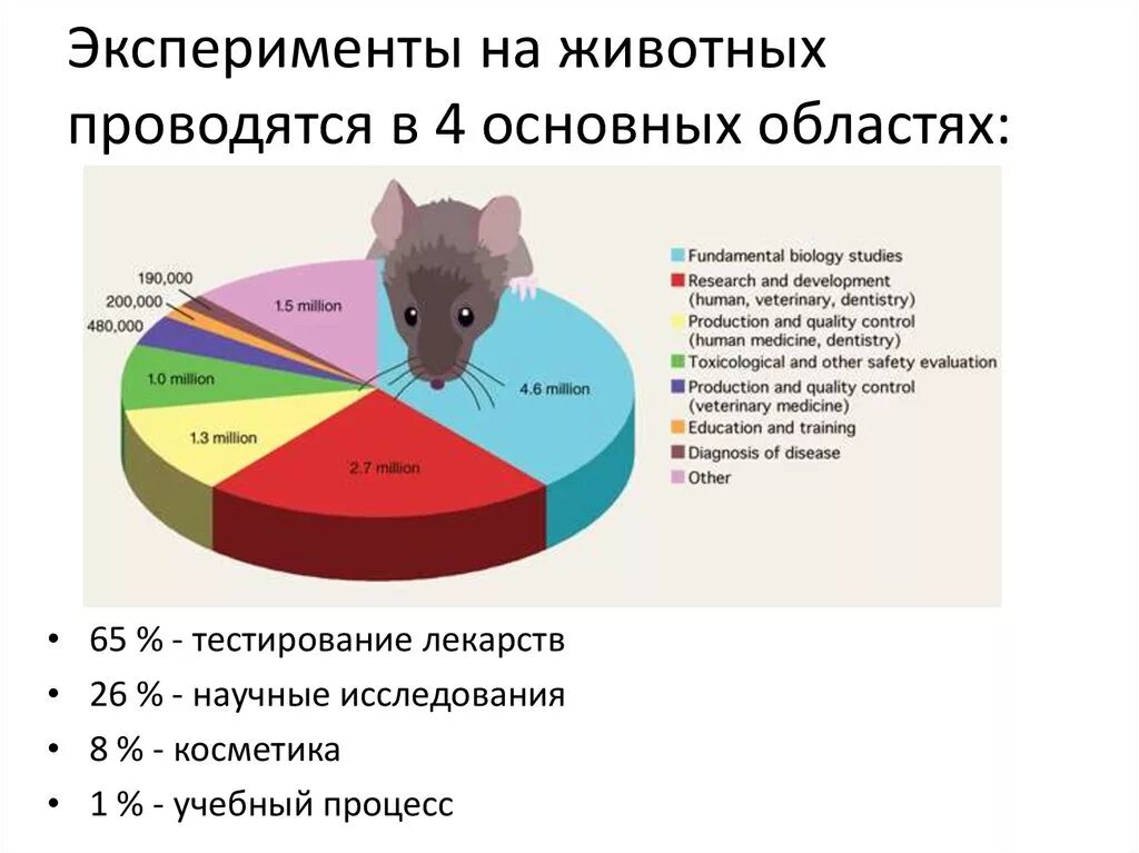 Тестирование препаратов на животных. Тестирование препаратов на животных