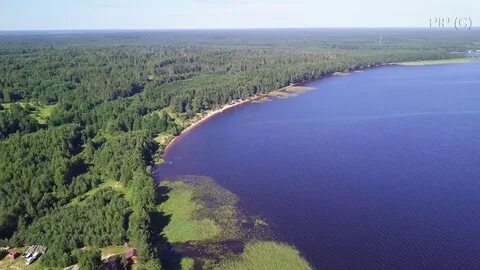 Березовские плесы