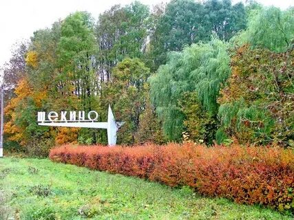 Мое щекино
