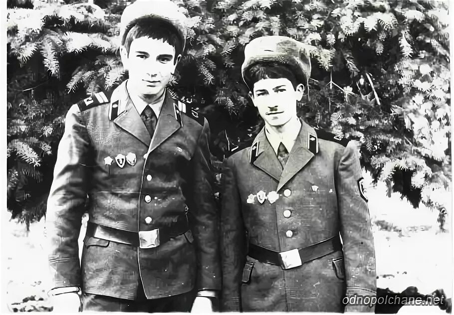 как найти сослуживца по имени