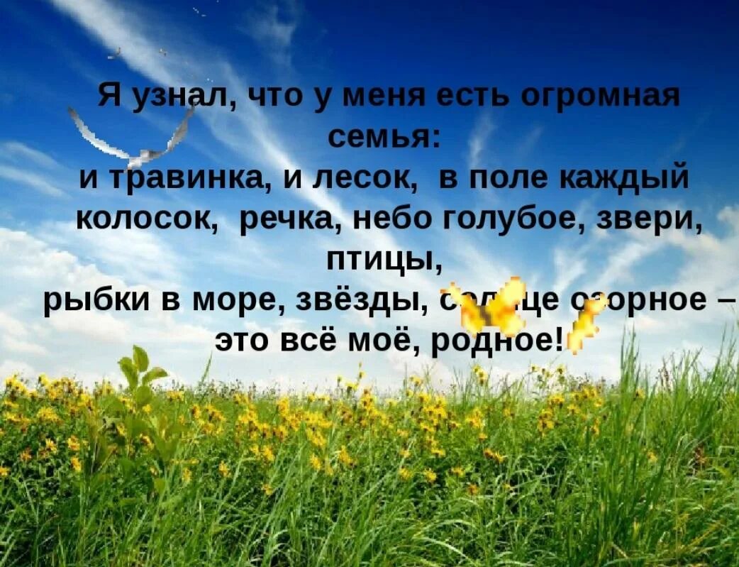 Слушать песню не лето еду на родину. Бунине Косцы 5 класс. Рассказ Косцы Бунин. И цветы и шмели и трава и колосья Бунин.