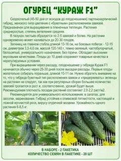 Огурцы сорта кураж характеристики