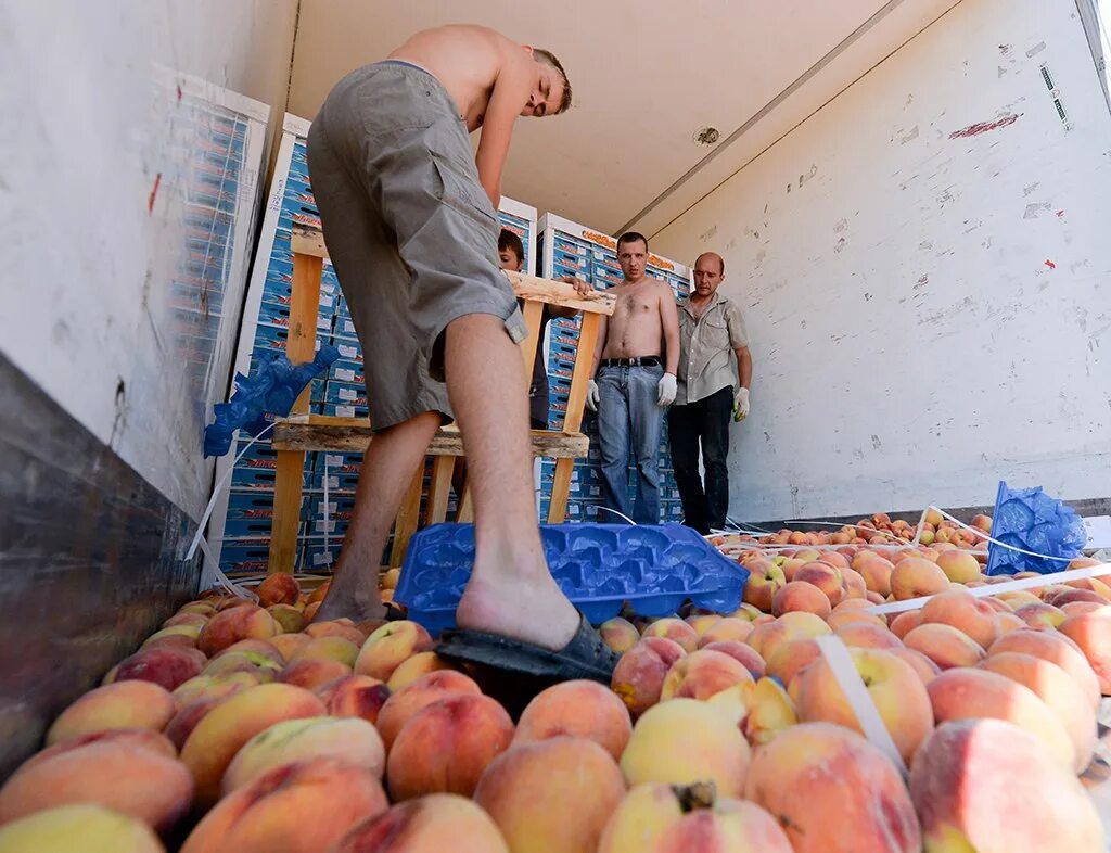 Форма попы яблоко. Мандарин в руке. Укус персика. Раздавленный персик. Персиковая плодожорка.
