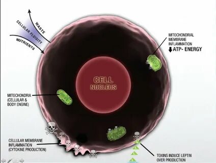 Cell return