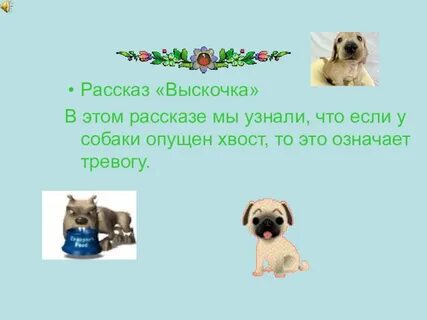 На что рассчитывала выскочка приближаясь к собаке