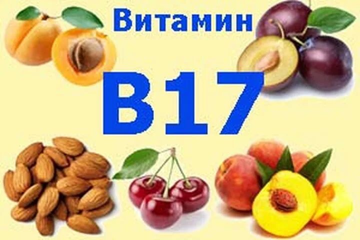 В чем содержится б 17