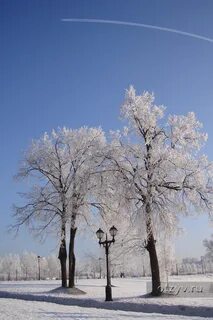 Зимняя 22
