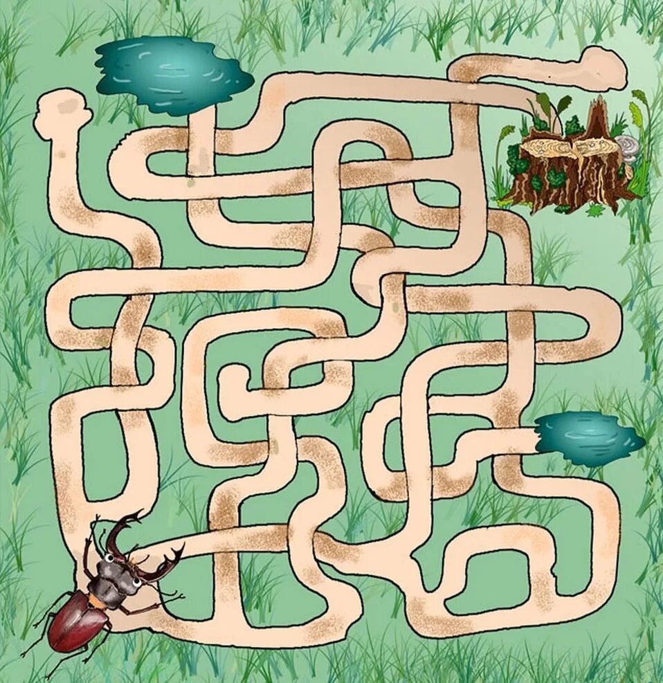 Пройди лабиринт. Лабиринт игра для малышей насекомые для детей. maze labyrinth игра. игры лабиринты насекомые для дошкольников. необычные лабиринты для детей.