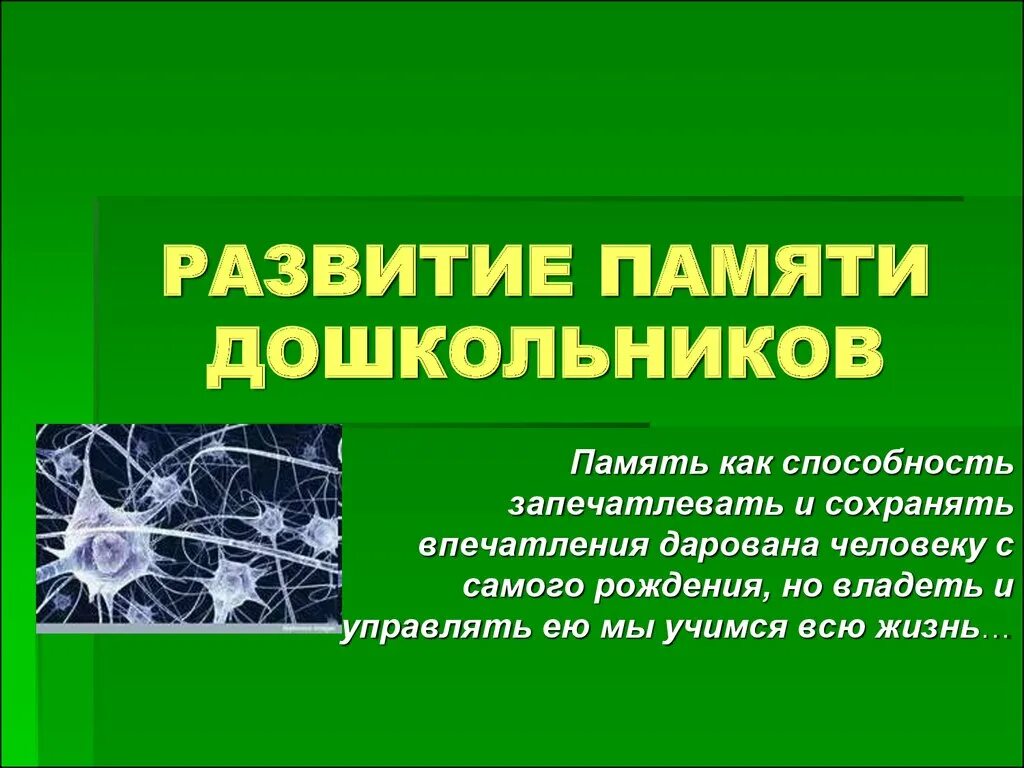 Воображение и память дошкольника. Особенности памяти дошкольников. особенности развития памяти у дошкольников. развитие памяти дошкольника психология. память у дошкольников кратко.