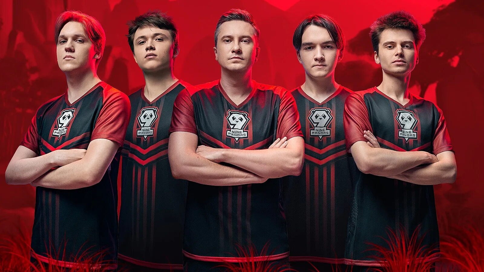 Pandas dota. Pandas dota