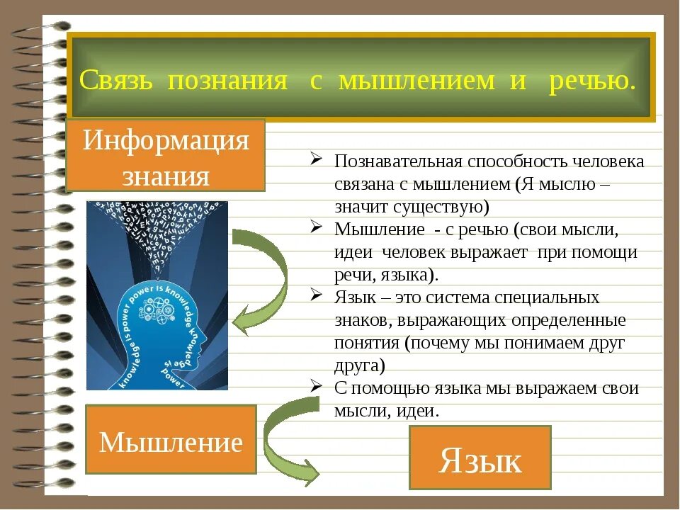 Познание мышление. Связь мышления и познания. Познание и речь. Связь языка и мышления. Мышление и речь Обществознание.