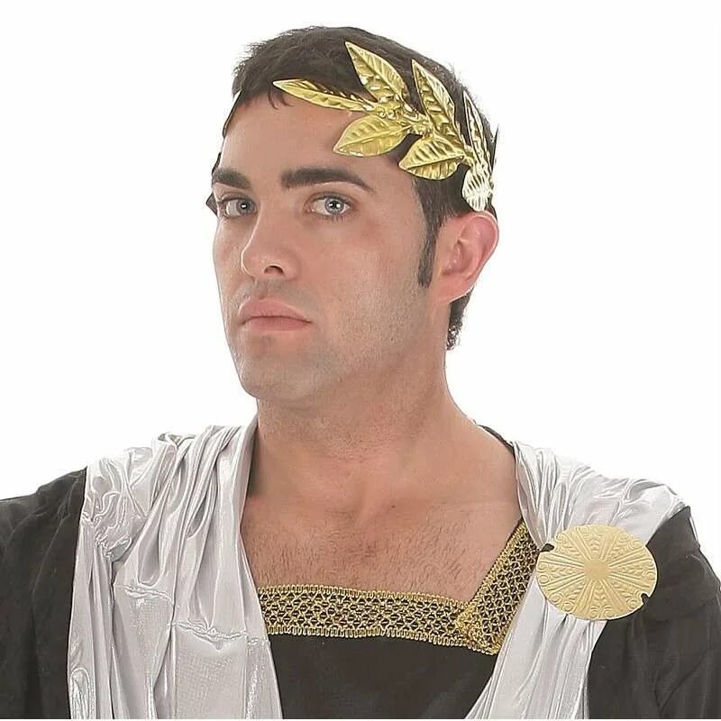 Лавровый венок вышивка. Лавровый венок цезаря. Золотой венок на голову. Лавровый венок цезаря. Наполеон бонапарт в лавровом венке.