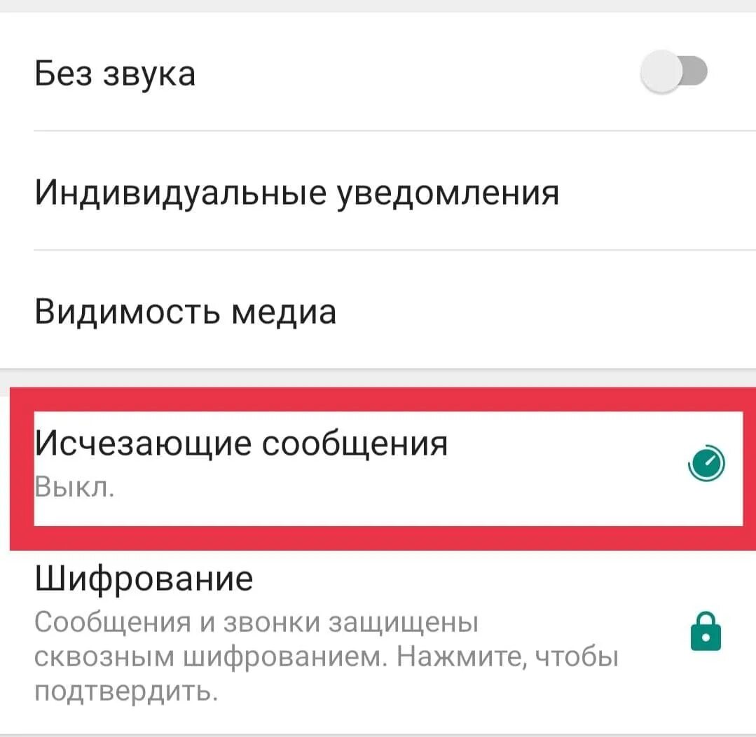 Почему пропали смс. Ватсап исчезающие сообщения новая функция. Что такое индивидуальное уведомление в ватсапе. Исчезающие сообщения в WHATSAPP. Что такое исчезающие сообщения в ватсапе.