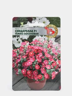 Петуния минибелла отзывы