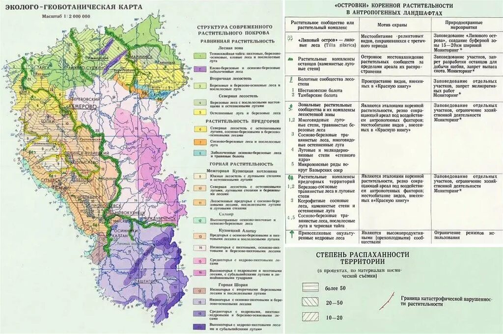 Кузбасс какая природная зона. Эколого геоботаническая карта Кемеровской области. Почвенная карта Кемеровской области подробная. Карта почв Кузбасса. Карта почв Кемеровской области.