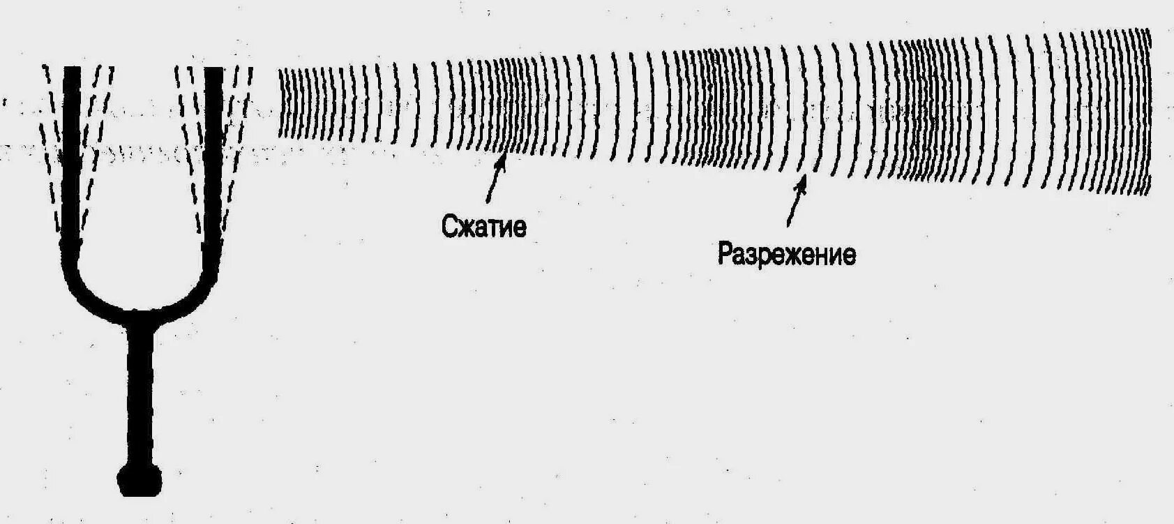 Звуковые волны являются продольными. Распространение акустических волн схема. Схема распространения звуковой волны. Схема распространения звуковой волны в пространстве. Звуковая волна схема.