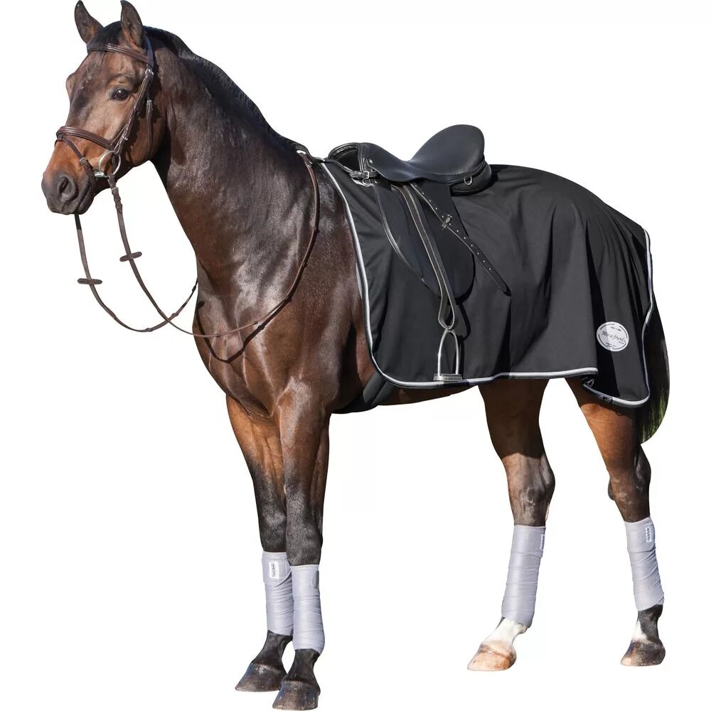 верховое снаряжение. седло вальтрап уздечка. седло вальтрап уздечка. выездковое седло в сборе. вальтрап fouganza.