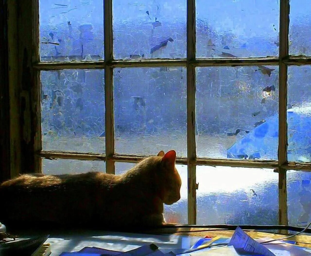 Подхожу к окну и вечер. Зимнее окно. Кот на окне. Кот на окне зима. Пейзаж в окне.