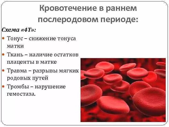 Кровопотеря в последовом периоде. Кровотечения в раннем послеродовом периоде. Кровотечения в последовом, раннем и позднем послеродовом периоде. Атоническое кровотечение в раннем послеродовом периоде. Почему кровит после полового акта