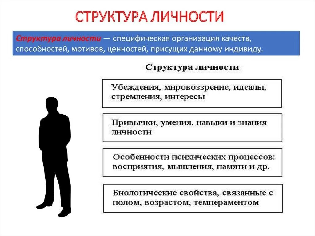 Как получить личность. Понятие и структура личности. личность структура личности в психологии. психология структура характеристика личности. структура личности, ее характеристики..