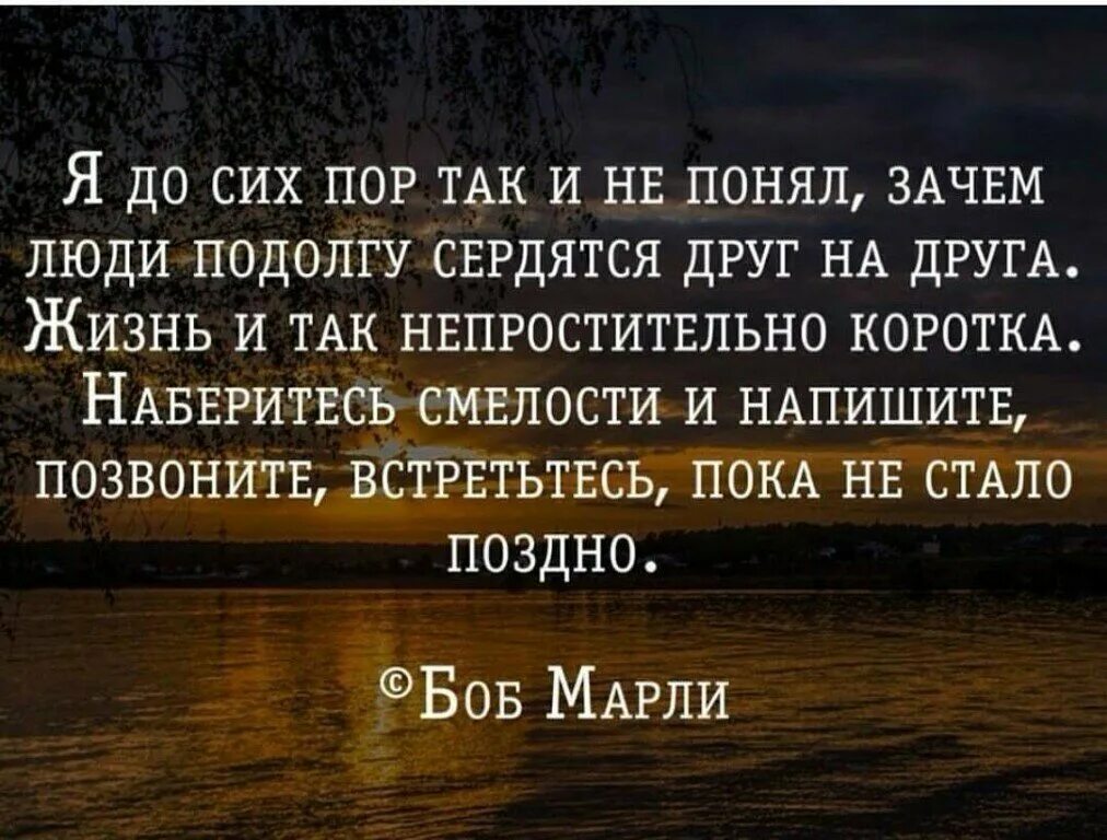 Жизненные статусы цитаты. Красивые цитаты. цитаты про жизнь. афоризмы про жизнь. красивые высказывания о жизни.
