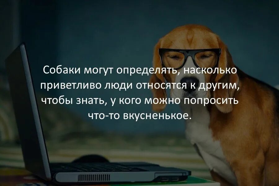 Удивляюсь насколько. Интересные факты. Интересные смешные факты. Интересные факты в картинках. Интересные удивительные и невероятные факты обо всем.