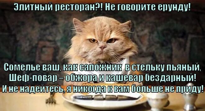 Сапожник напивается в доску. Не говори ерунды. сапожник в стельку плотник в доску. сапожник стельку, напивается в стельку. сапожник напивается в стельку плотник в доску во что напивается.