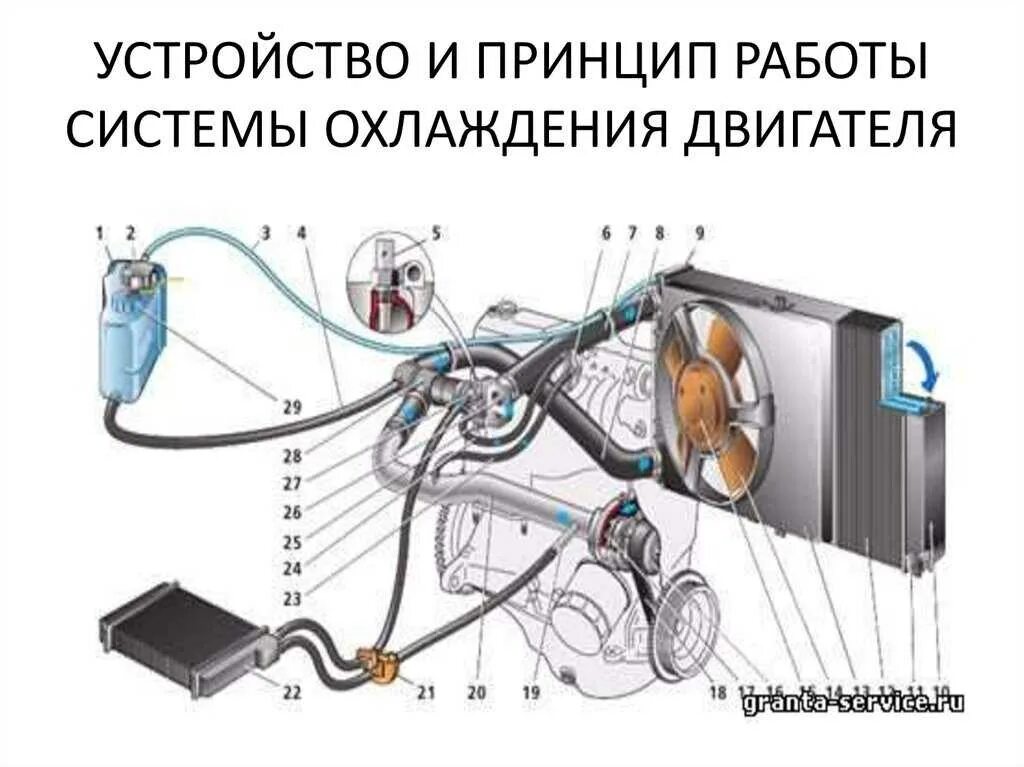 Система охлаждения двигателя внутреннего сгорания схема. Система охлаждения автомобиля принцип работы схема. Система охлаждения двигателя автомобиля схема. Схема системы охлаждения автомобильного двигателя. Система охлаждения дв