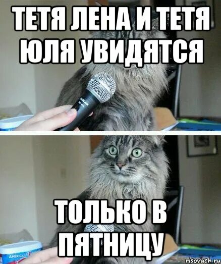 Теть лен. Собирает лекарственные травы. Теть лен. Фотограф семён осипович фридлянд. Анимационные открытки с днем рождения.