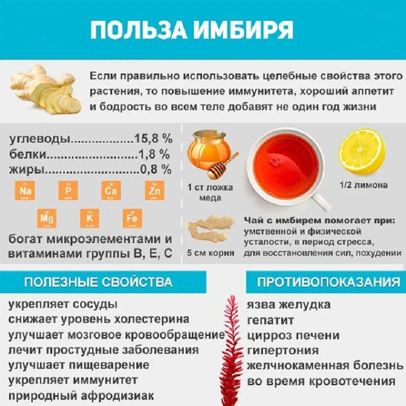 Имбирь сколько можно есть в день