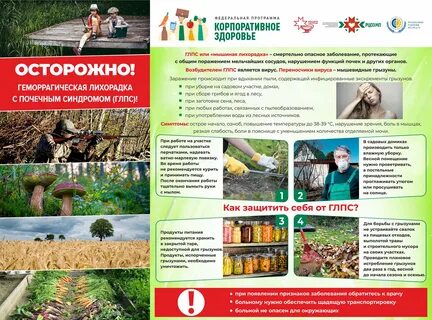 Геморрагическая лихорадка инфекция
