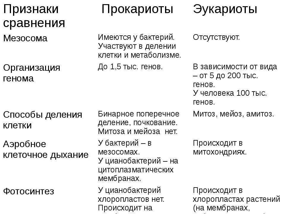 Сравнение прокариот и эукариот таблица. Форма клеток прокариот и эукариот. Особенности прокариотической клетки и эукариотической. Характерные признаки прокариот и эукариот.