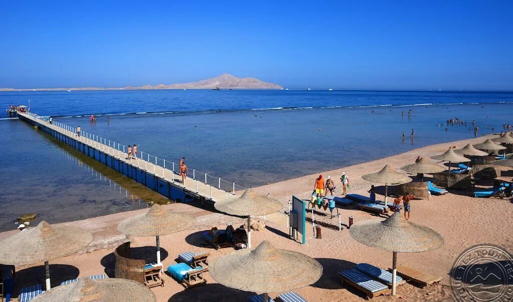 Charmillion Sea Life Resort Египет, Шарм-Эль-Шейх. Sea Life Resort 4 Шарм-Эль-Шейх. Шармилион сиа лайф Шарм Эль Шейх. Sea Life Египет Шарм-Эль-Шейх пляж.