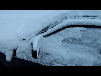 Трематом пестряк почему не замерзает