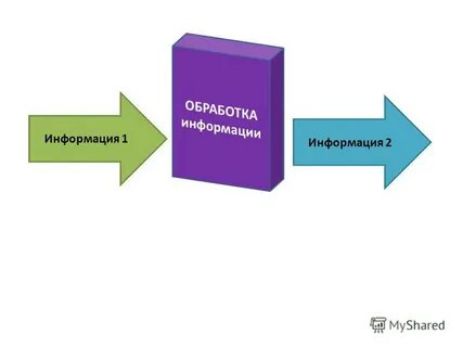 Действия человека с информацией