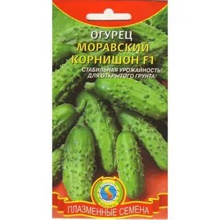 Корнишоны это сорт или маленькие огурцы