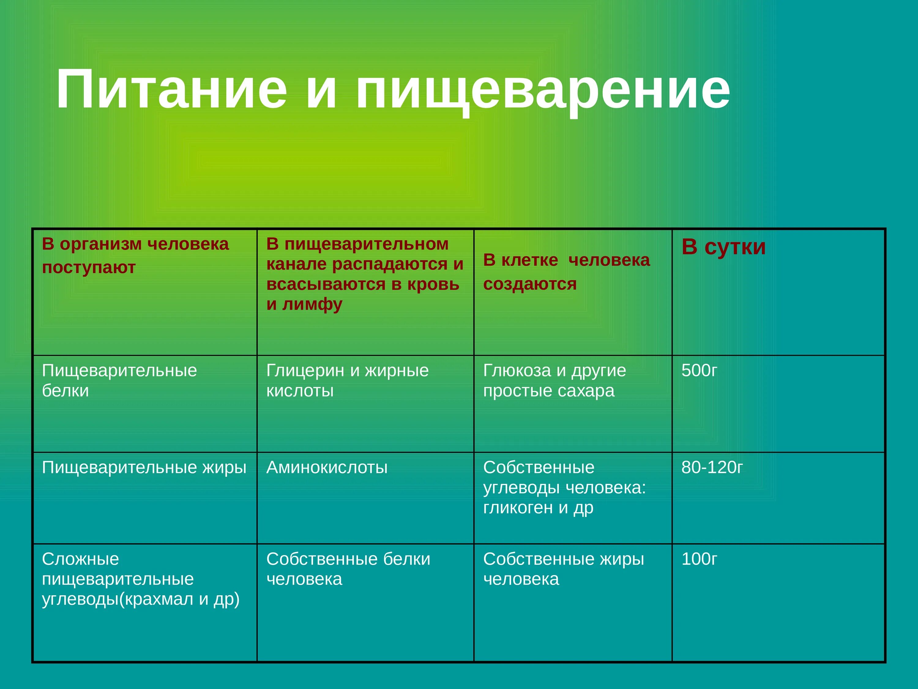 Процесс расщепления питательных веществ