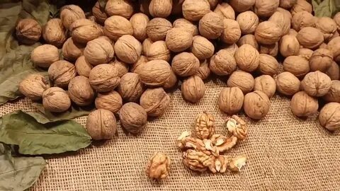 Сколько времени сушить грецкие орехи